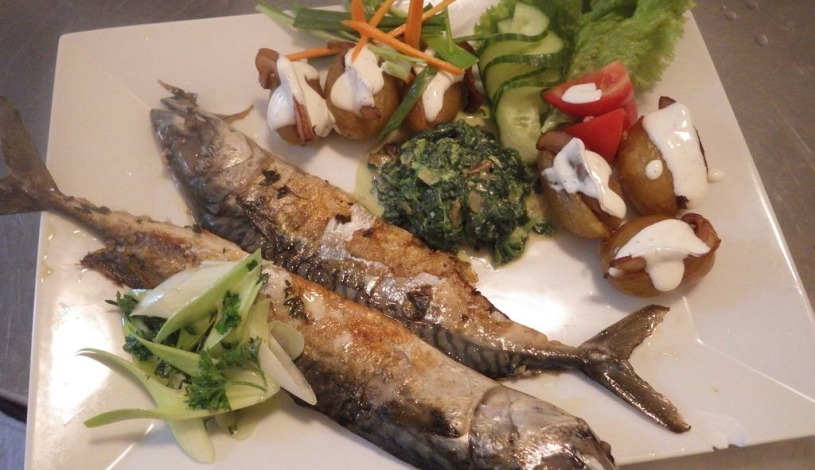 Chata Labská - Špindlerův Mlýn Špindlerův Mlýn